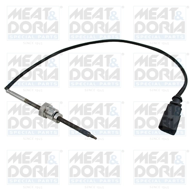 Sensor, exhaust gas temperature